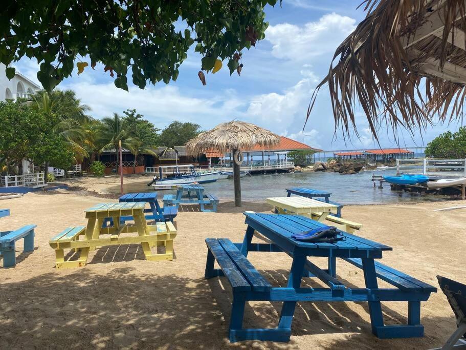 Lush Tropical Apartment Located In A 4-Star Resort Runaway Bay Esterno foto
